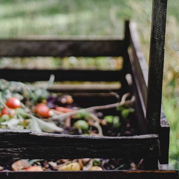 How to Compost Shredded Paper and Cardboard 4 compost pile, greens and browns, compost mix