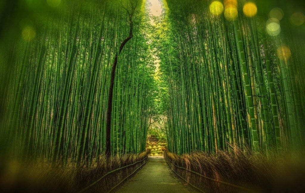 kyoto 1860521 1280