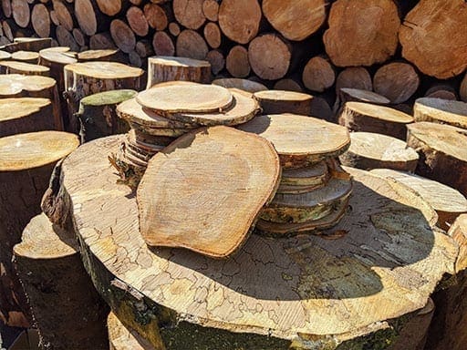 sawmill coins complete