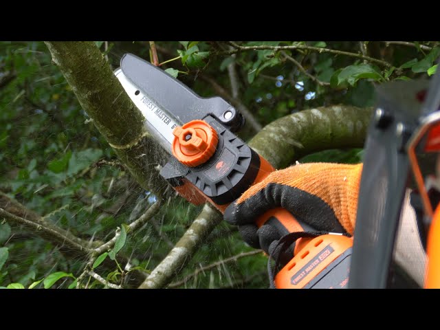 Compact and Versatile! Forest Master 20V 6" Cordless Mini Chainsaw