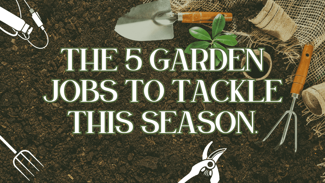 Image of garden tools, soil and plant